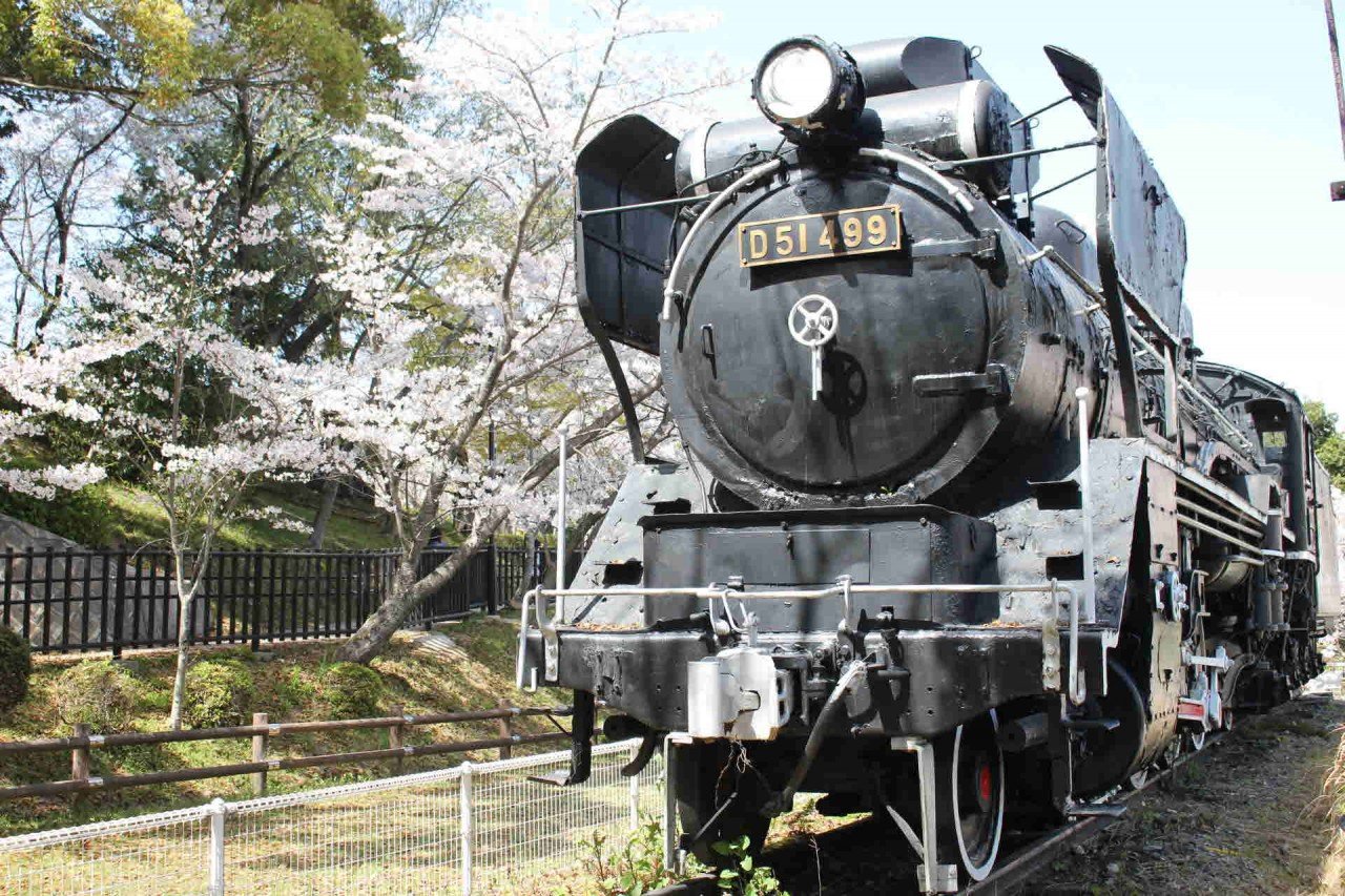 🌸 쓰카이라쿠 공원 이미지 7